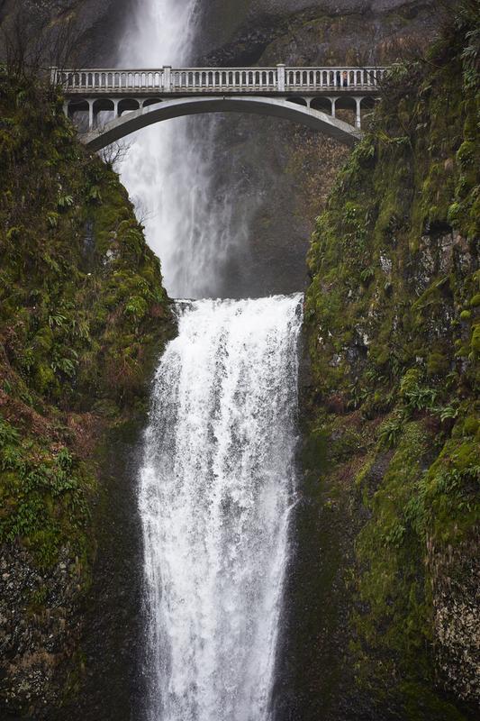 Customer photo 2 of 3. Click to open full size image.