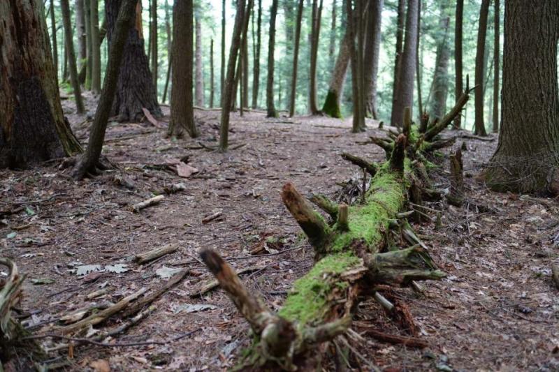 Bursting with details.