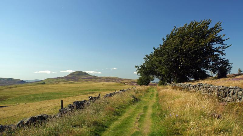 You can tell which way the winds blow up here.!!