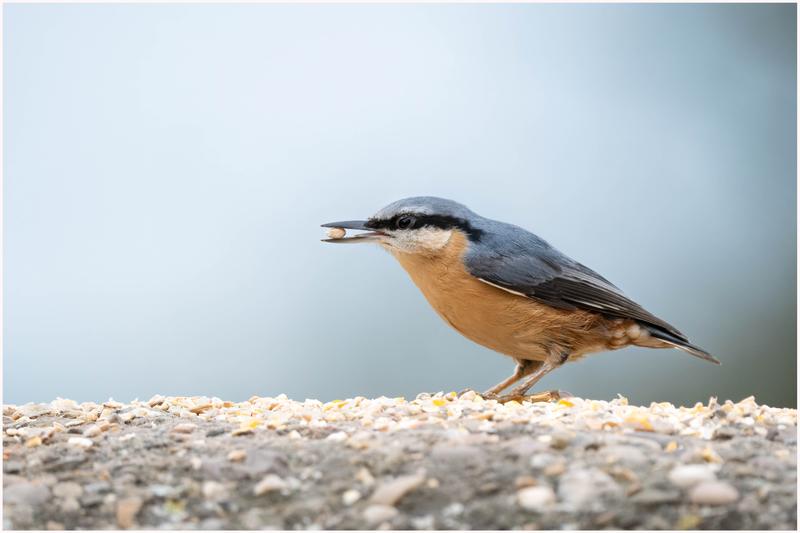 Customer photo 5 of 6. Click to open full size image.