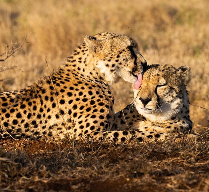 Customer photo 1 of 5. Click to open full size image.