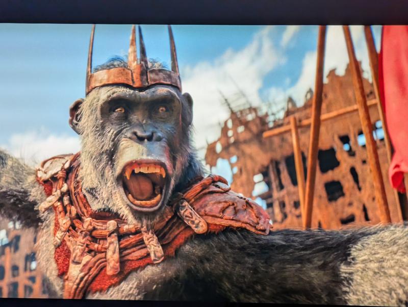 Pic of picture quality and what's in the box