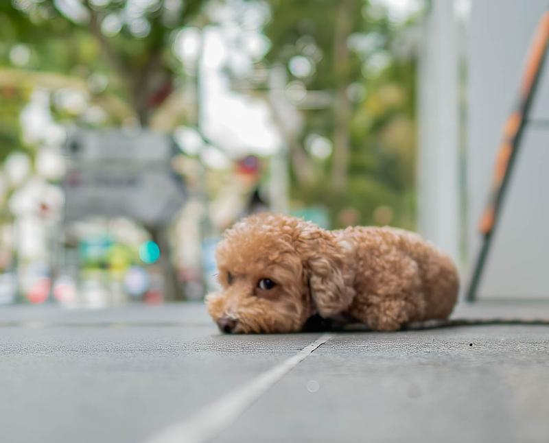 Watching the world go by.