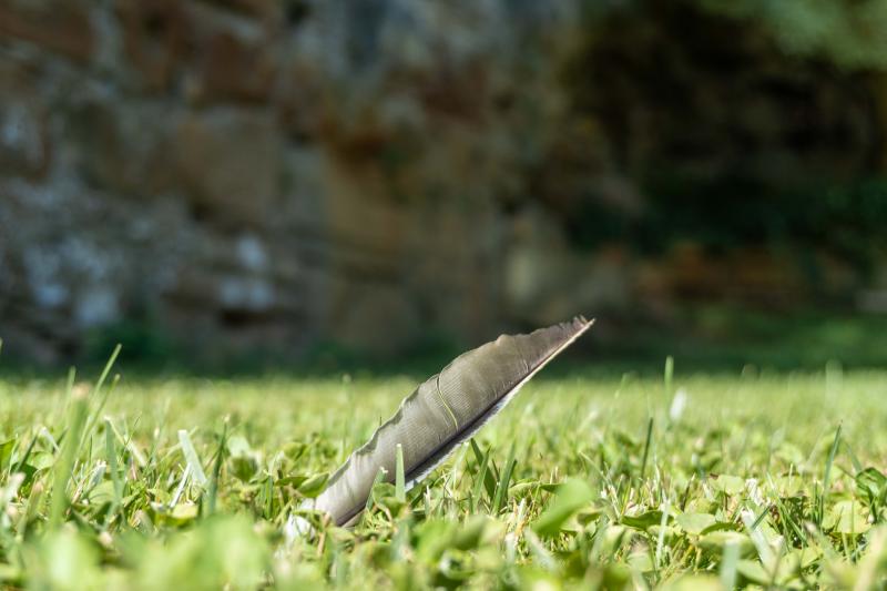 Customer photo 3 of 6. Click to open full size image.