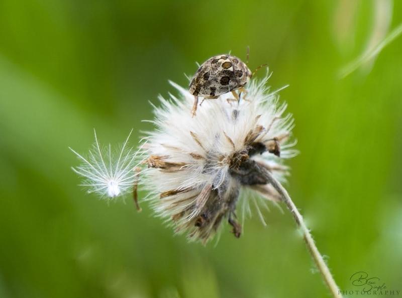 Customer photo 1 of 6. Click to open full size image.