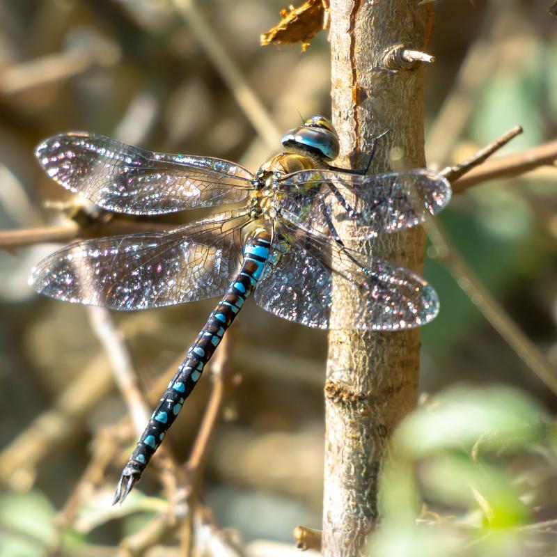 Customer photo 2 of 6. Click to open full size image.