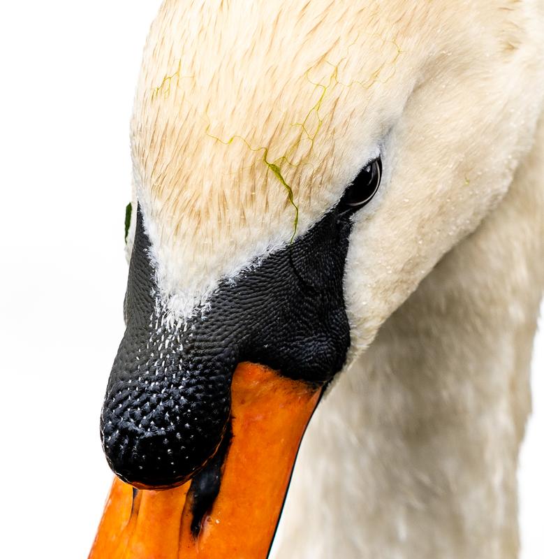 Customer photo 1 of 6. Click to open full size image.