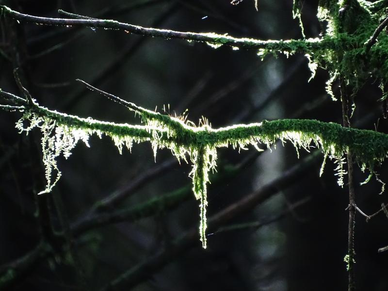 Customer photo 3 of 6. Click to open full size image.