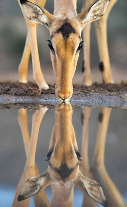 Customer photo 5 of 5. Click to open full size image.