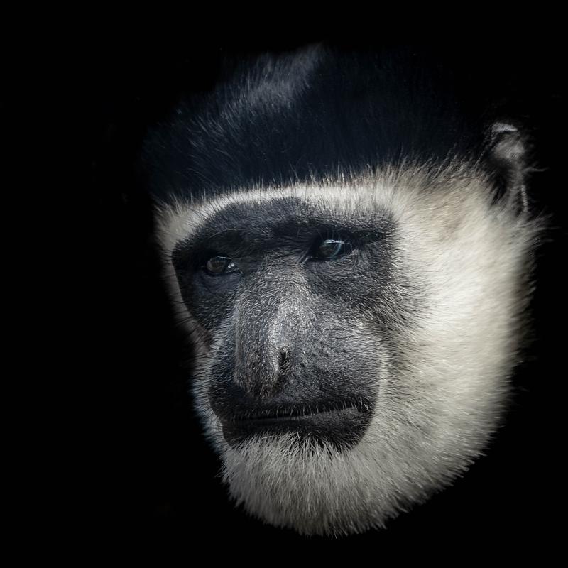 Customer photo 1 of 6. Click to open full size image.