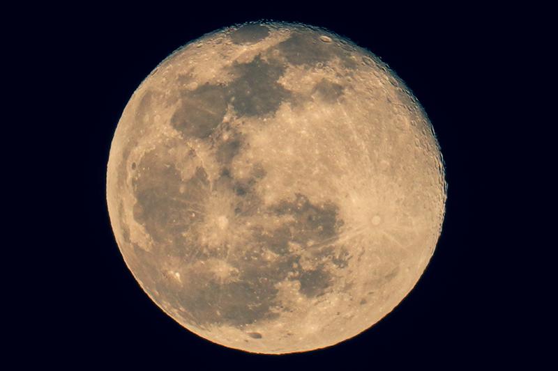 Customer photo 3 of 6. Click to open full size image.