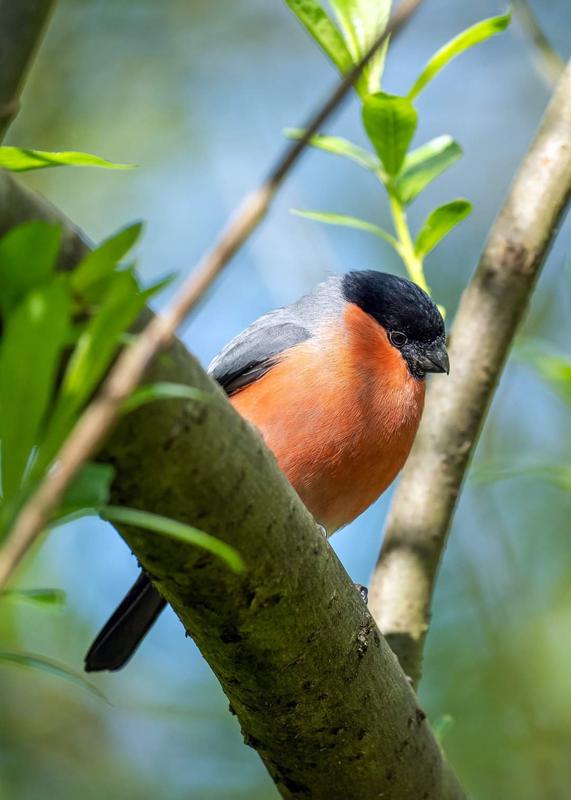 Customer photo 5 of 6. Click to open full size image.