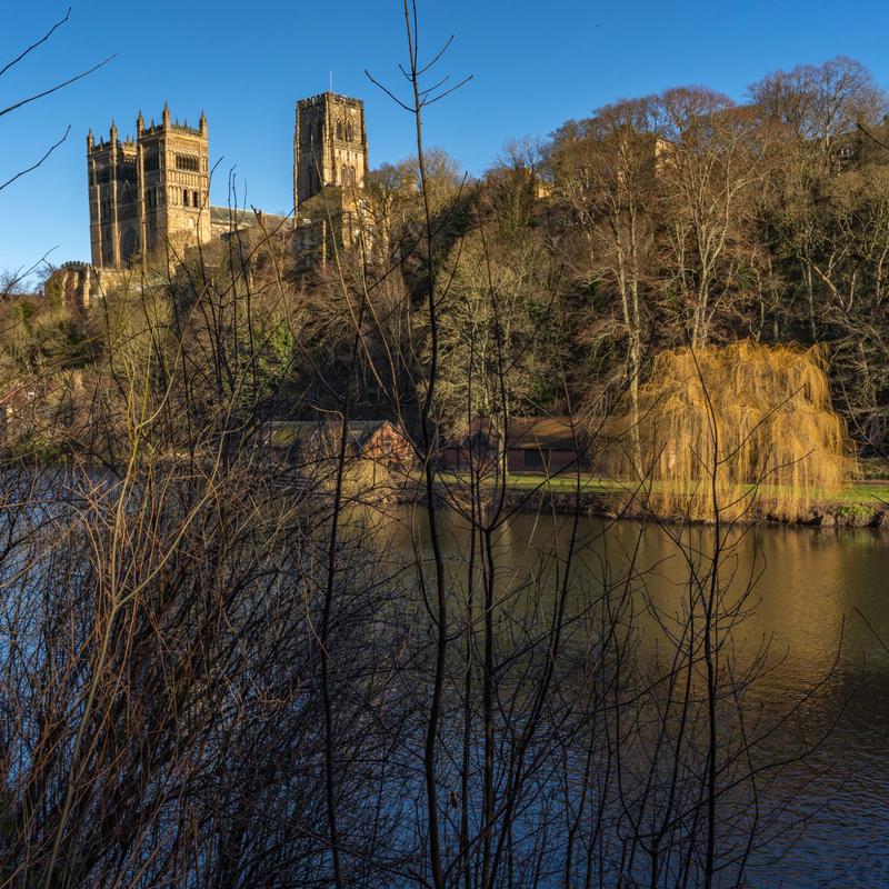 Customer photo 4 of 5. Click to open full size image.