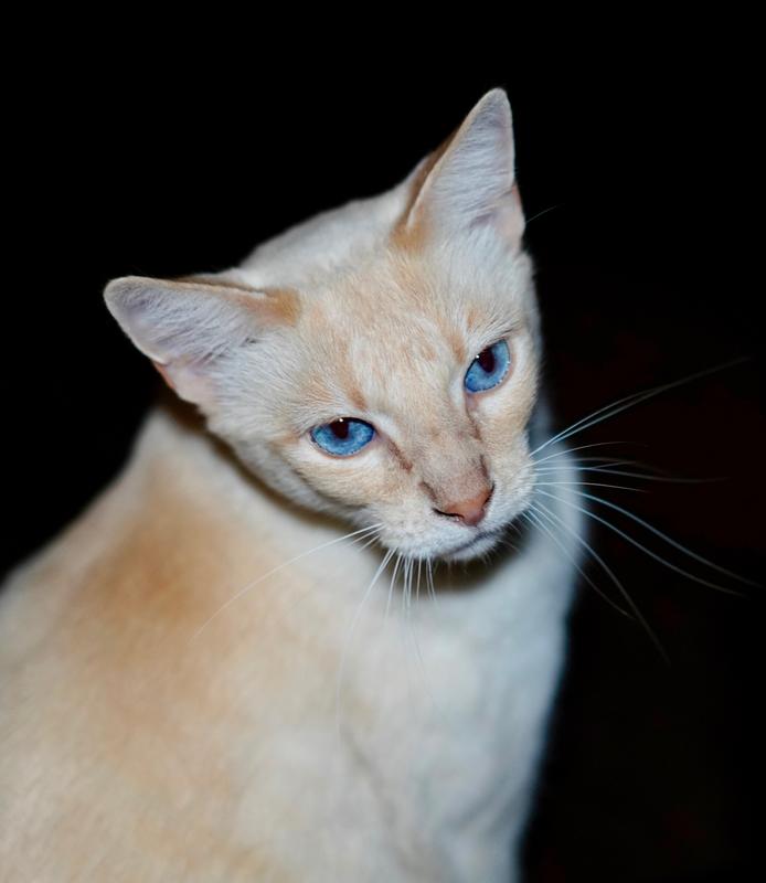 Customer photo 3 of 3. Click to open full size image.