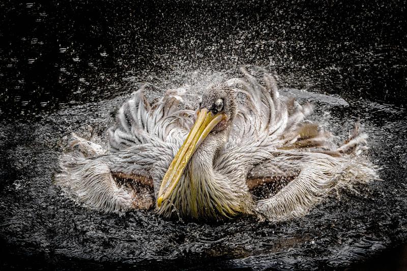 Customer photo 4 of 6. Click to open full size image.