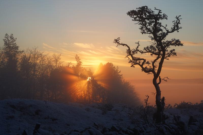 Customer photo 3 of 6. Click to open full size image.