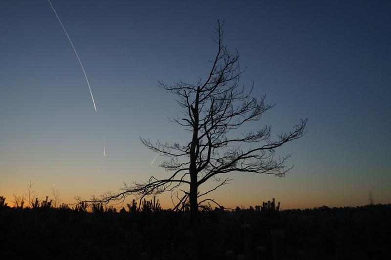 Customer photo 4 of 5. Click to open full size image.