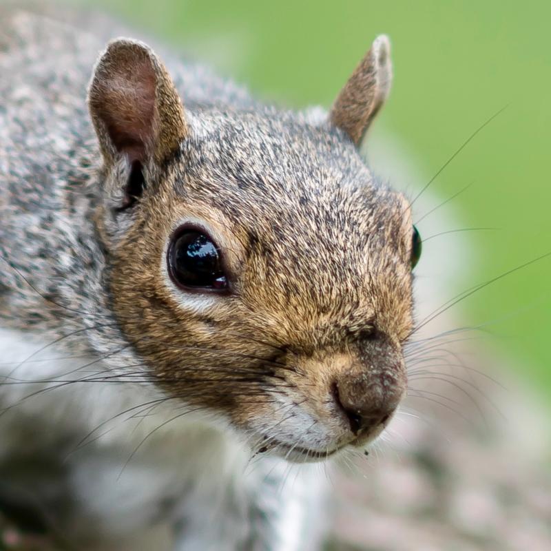 Customer photo 1 of 2. Click to open full size image.