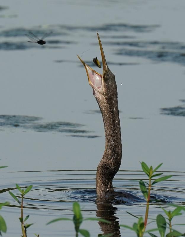 Customer photo 6 of 6. Click to open full size image.