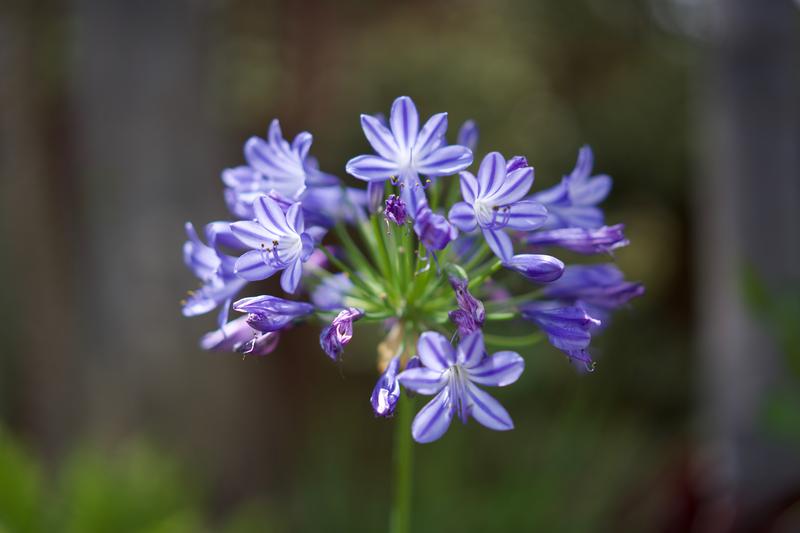 Customer photo 1 of 3. Click to open full size image.