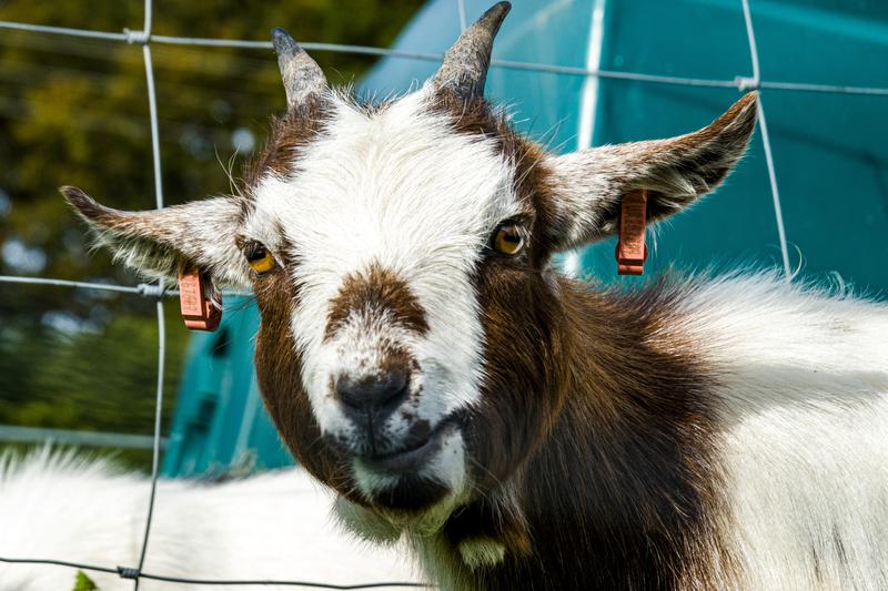 Customer photo 2 of 6. Click to open full size image.