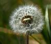 SONY OSS G Macro FE 90mm f/2.8 (SEL90M28G.SYX)
