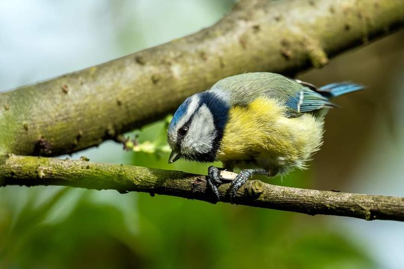 Customer photo 3 of 6. Click to open full size image.