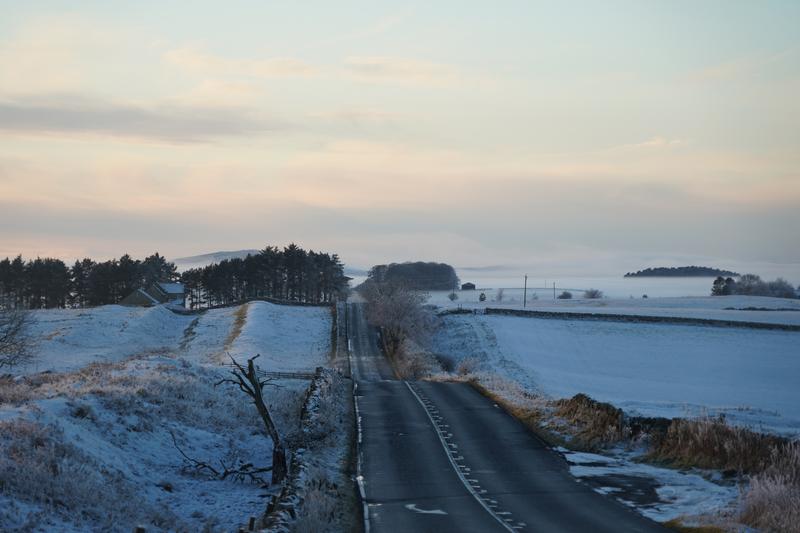 Customer photo 1 of 6. Click to open full size image.