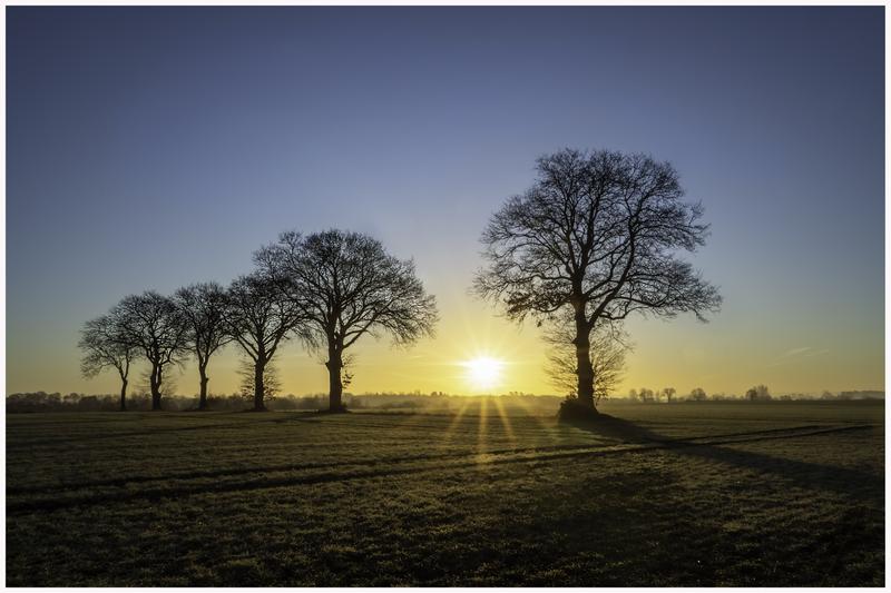 Customer photo 6 of 6. Click to open full size image.