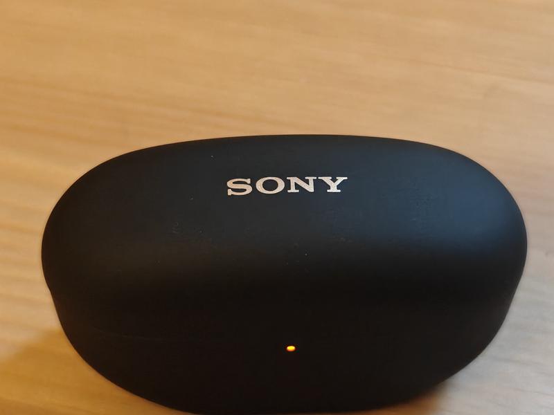 Case and the buds themselves.