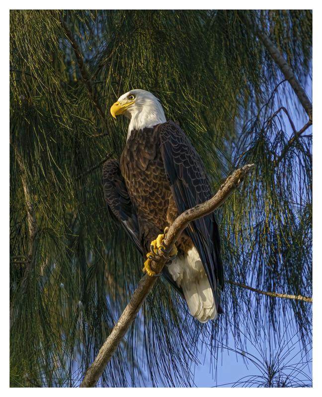 Customer photo 4 of 6. Click to open full size image.