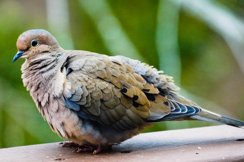 Customer photo 1 of 6. Click to open full size image.