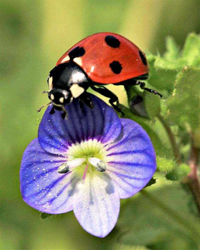 Customer photo 1 of 6. Click to open full size image.