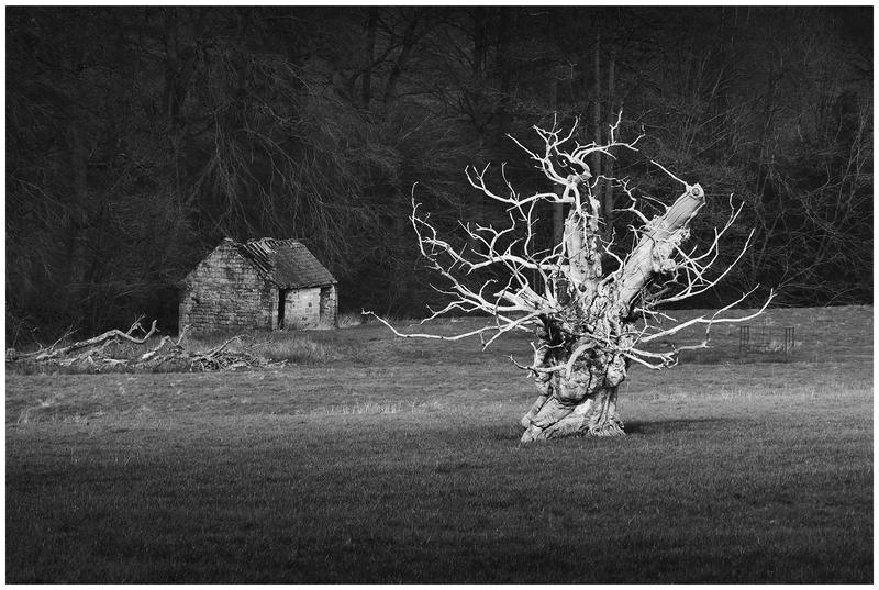 Customer photo 2 of 6. Click to open full size image.