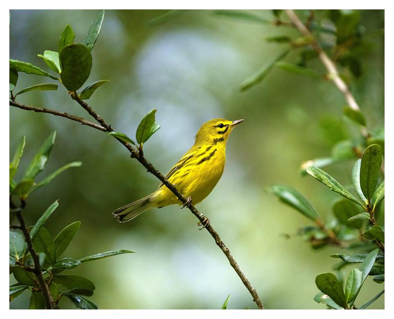 Customer photo 5 of 6. Click to open full size image.