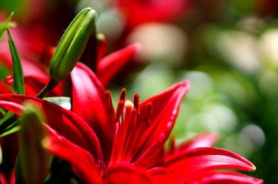 Customer photo 2 of 2. Click to open full size image.