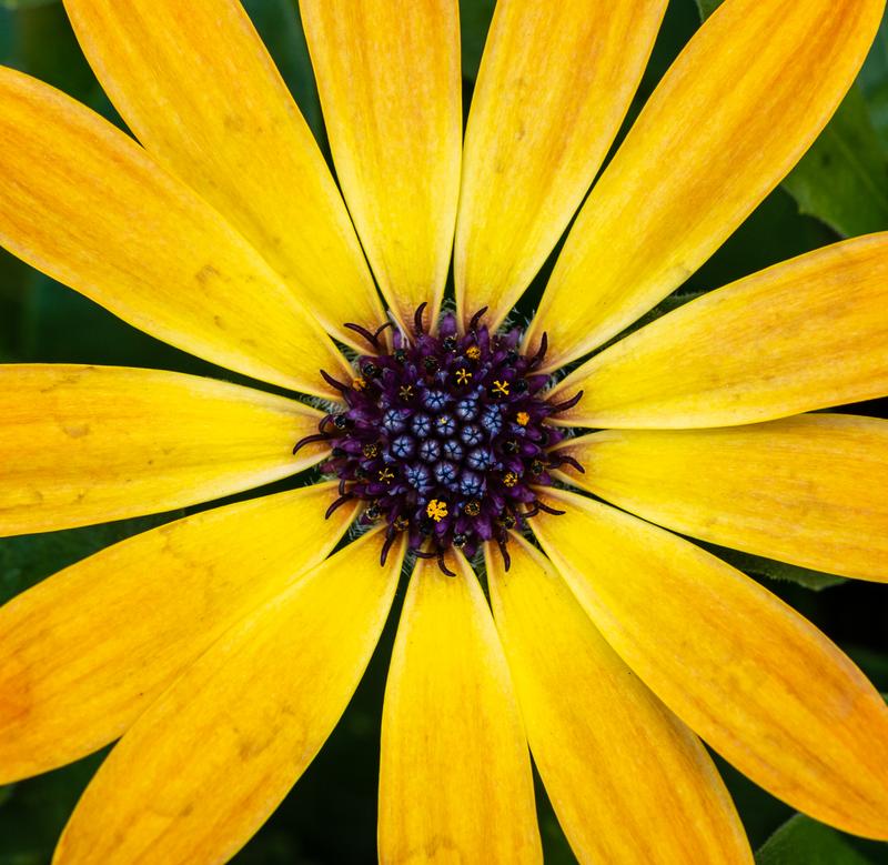 Customer photo 3 of 6. Click to open full size image.