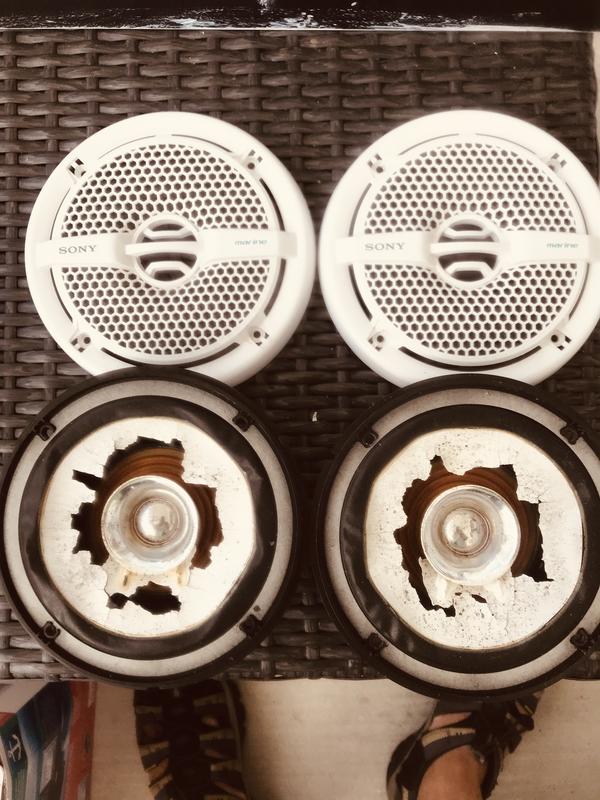 Sony XS-MP1611 6.5 Inch 140 Watt Dual Cone Design Marine Speakers ...