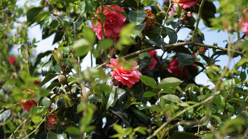 Customer photo 3 of 3. Click to open full size image.