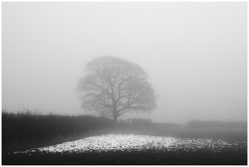 Customer photo 3 of 6. Click to open full size image.