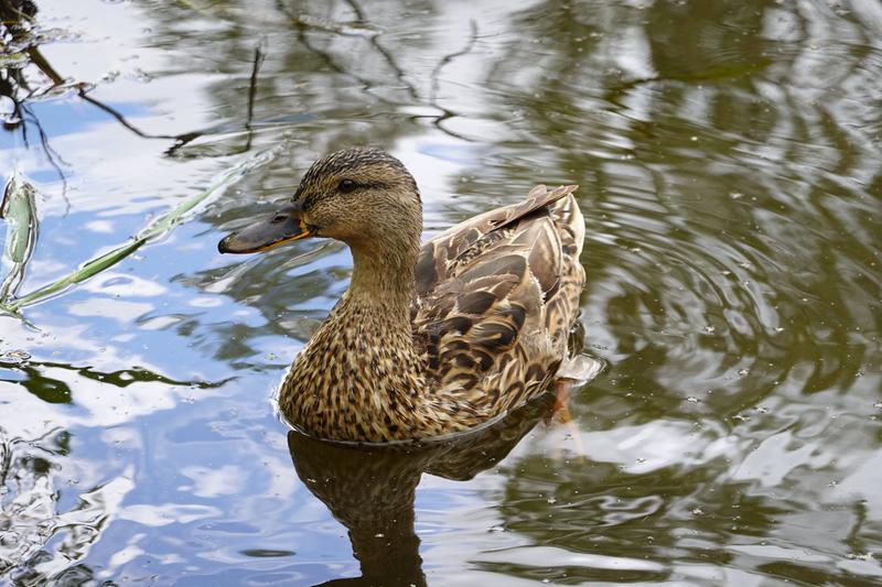 Customer photo 1 of 6. Click to open full size image.