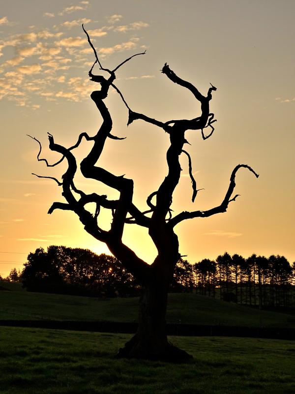 Customer photo 5 of 6. Click to open full size image.