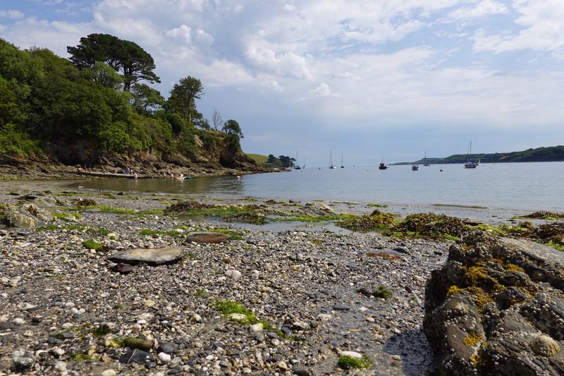 Customer photo 5 of 6. Click to open full size image.