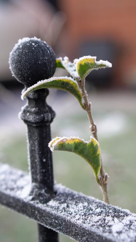 Customer photo 1 of 4. Click to open full size image.