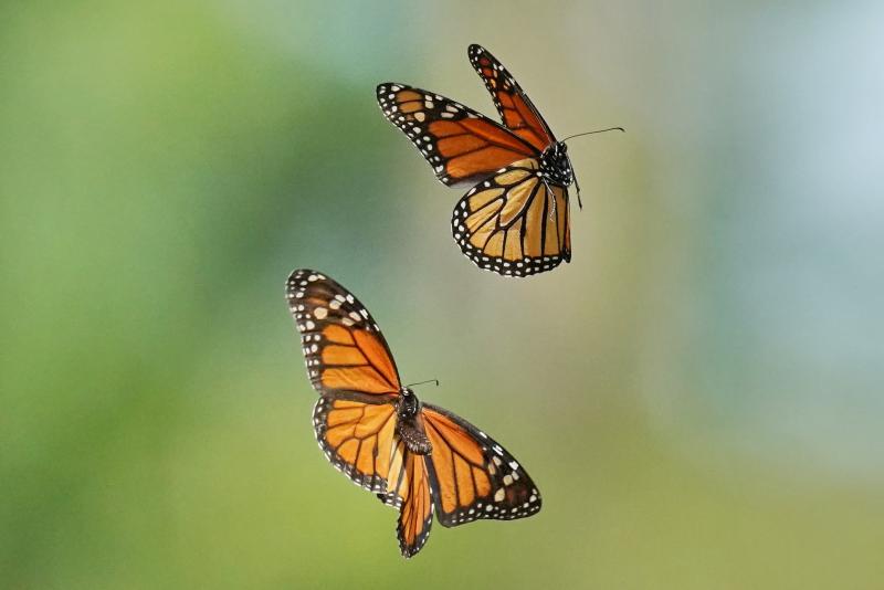 Customer photo 2 of 6. Click to open full size image.