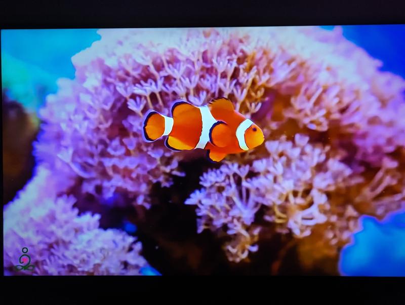 Customer photo 3 of 5. Click to open full size image.