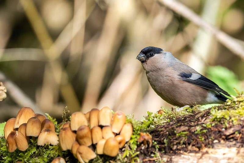 Customer photo 4 of 6. Click to open full size image.