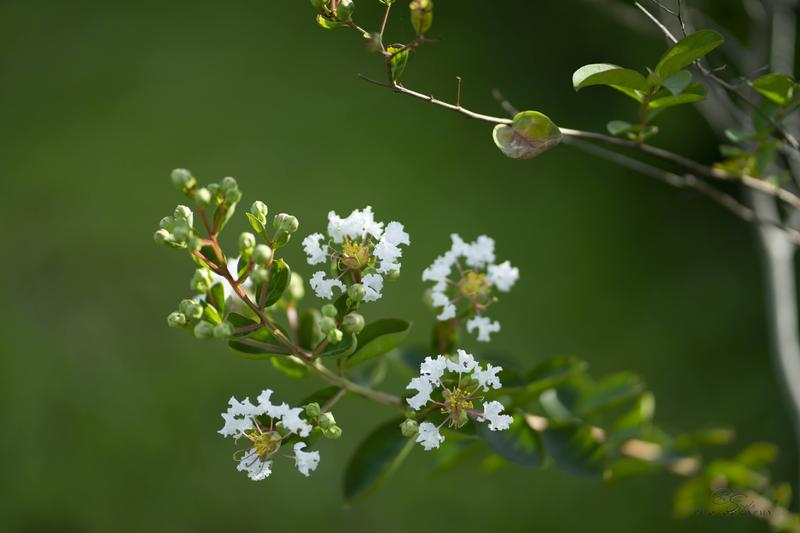 Customer photo 6 of 6. Click to open full size image.