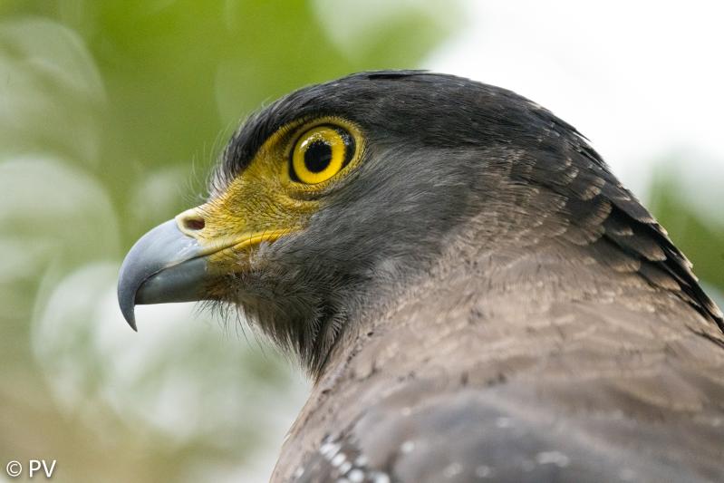 Customer photo 2 of 6. Click to open full size image.