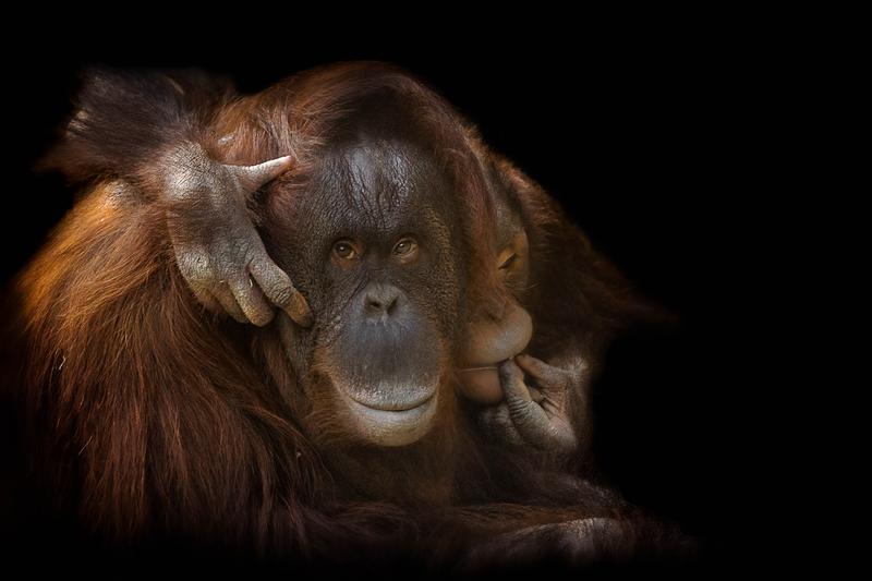 Customer photo 3 of 6. Click to open full size image.